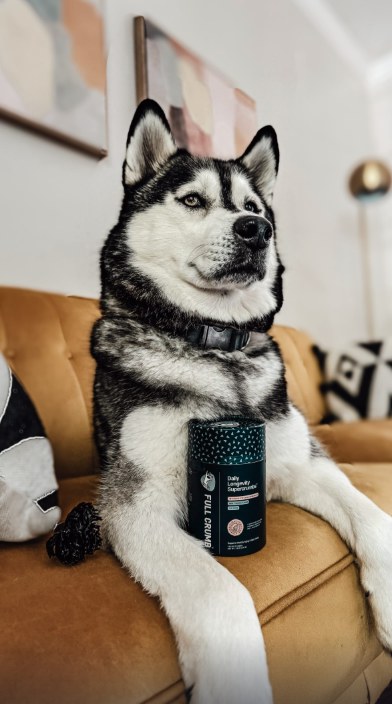 Sosa on the couch with a Full Crumb supplement tub, from the Full Crumb reel