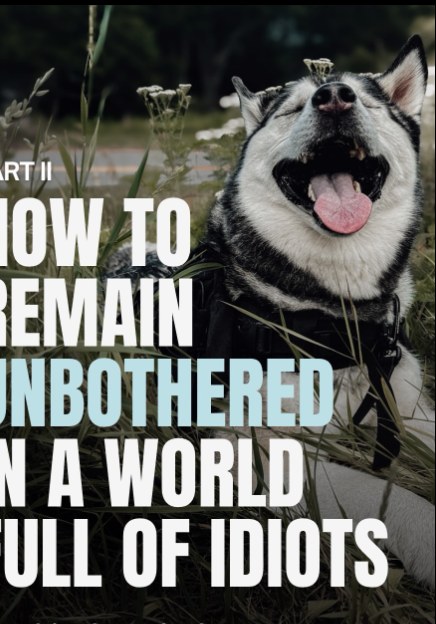 Reel cover: How to remain unbothered in a world full of idiots, part two