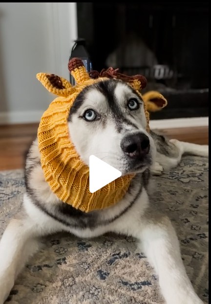 Reel cover: Luka in a knitted giraffe hat