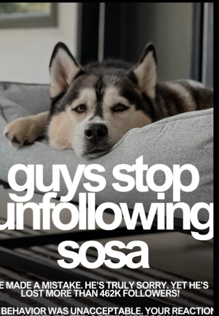 Post: guys stop unfollowing Sosa