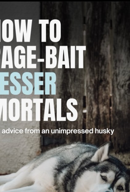 Reel cover: How to rage bait lesser mortals, advice from an unimpressed husky